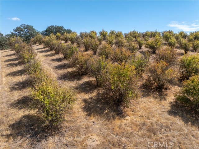 27 Wellsona Road, Paso Robles CA: https://media.crmls.org/medias/f426097f-780d-41fe-8146-6d4a3839c0ae.jpg