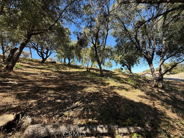 5710 Clouds Rst, Mariposa CA: https://media.crmls.org/medias/f4349c59-8393-4182-9ebe-809d2d277c9b.jpg