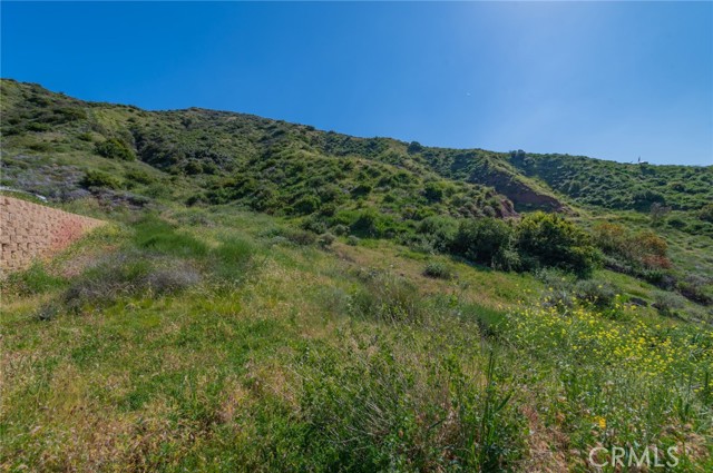 Image 20 of 35 For 28741 Williams Canyon Rd.