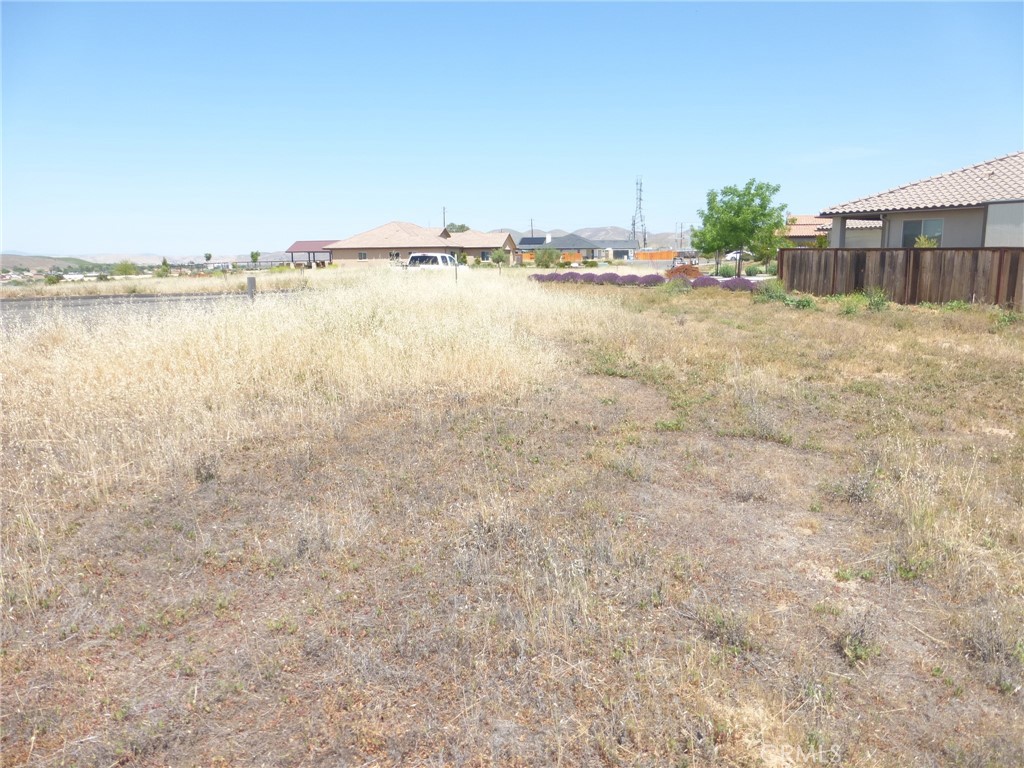 13040 River Bluffs (Lot 8) Lane