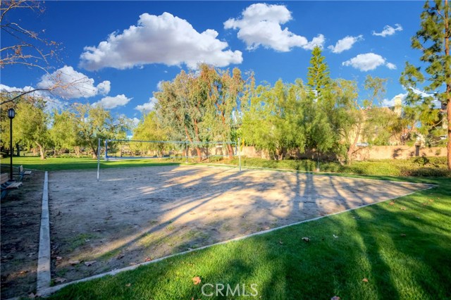 3001 Cottonwood Court