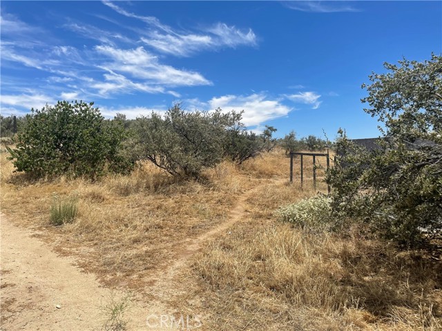 43595 Bogota Rd, Anza, CA, 92539 43595 Bogota Rd, Anza, CA, 92539