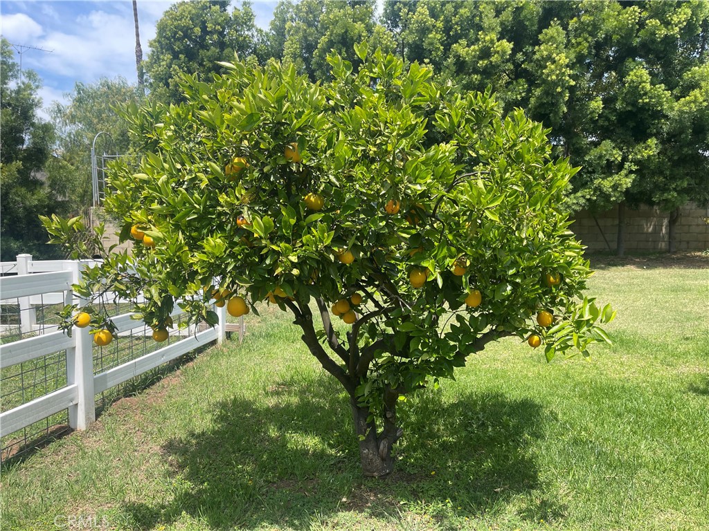 https://media.crmls.org/medias/f461daee-516a-4571-8387-32ff37bc629d.jpg?preset=X-Large