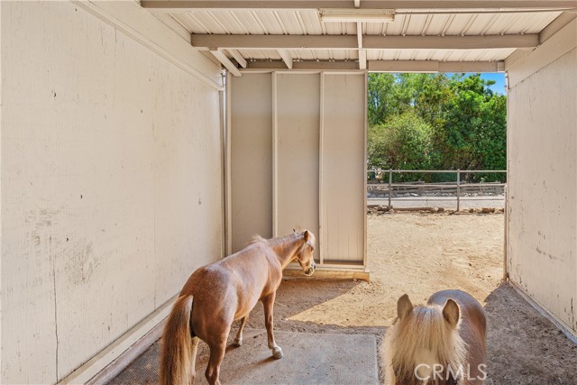 Detail Gallery Image 43 of 51 For 2270 Caballeros Rd, Norco,  CA 92860 - 4 Beds | 2 Baths