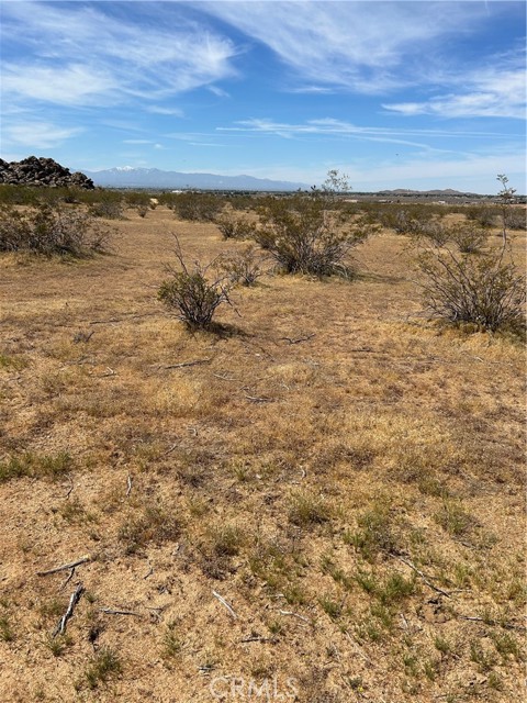 Detail Gallery Image 3 of 9 For 0 Japatul, Apple Valley,  CA 92307 - – Beds | – Baths