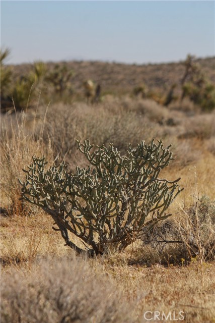 0 Songbird Lane, Yucca Valley, California 92264, ,Land,For Sale,0 Songbird Lane,CRJT23189101