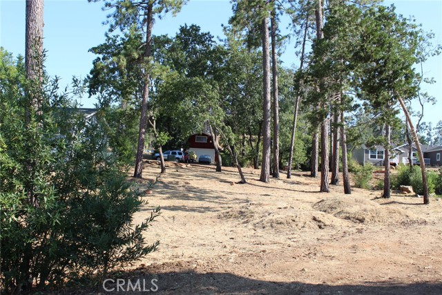 1830 Mosure Lane, Paradise, California 95969, ,Land,For Sale,1830 Mosure Lane,CRPA23153444