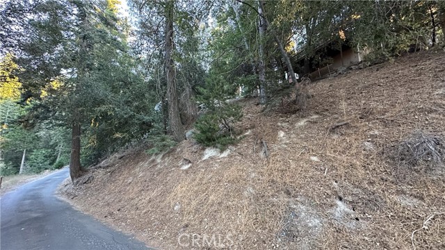 0 Mid Lane, Twin Peaks CA: https://media.crmls.org/medias/f472eb99-a25b-44b9-8240-dd456ba267de.jpg