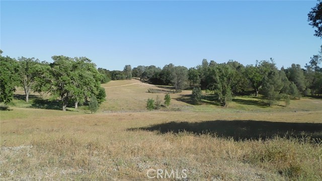 5363 Parkhill Road, Santa Margarita, CA, 93453 5363 Parkhill Road, Santa Margarita, CA, 93453