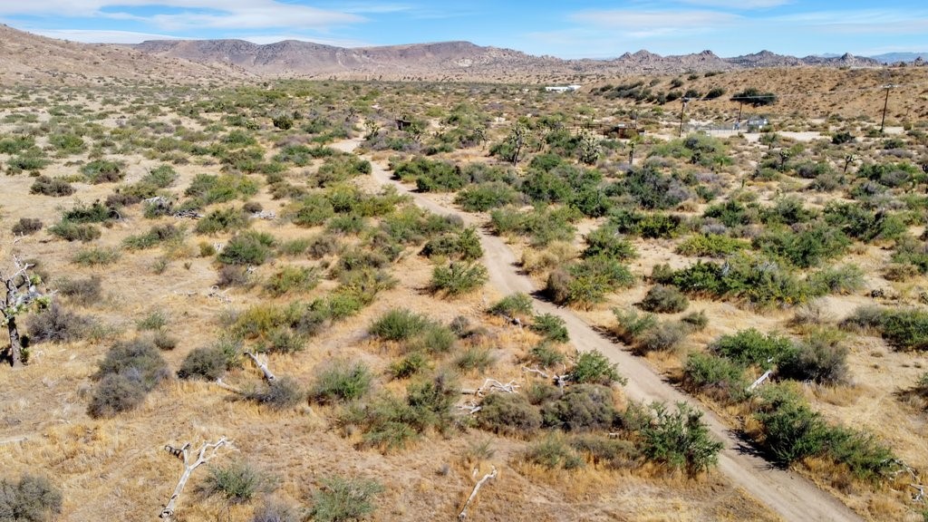 This view is looking toward the mountains of Joshua Tree National Park.