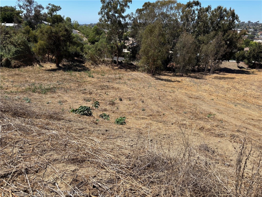 1937 Sunset Drive - photo 7