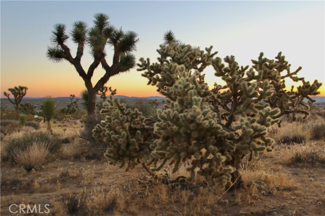 Detail Gallery Image 1 of 42 For 7635 La Contenta Rd, Joshua Tree,  CA 92284 - – Beds | – Baths