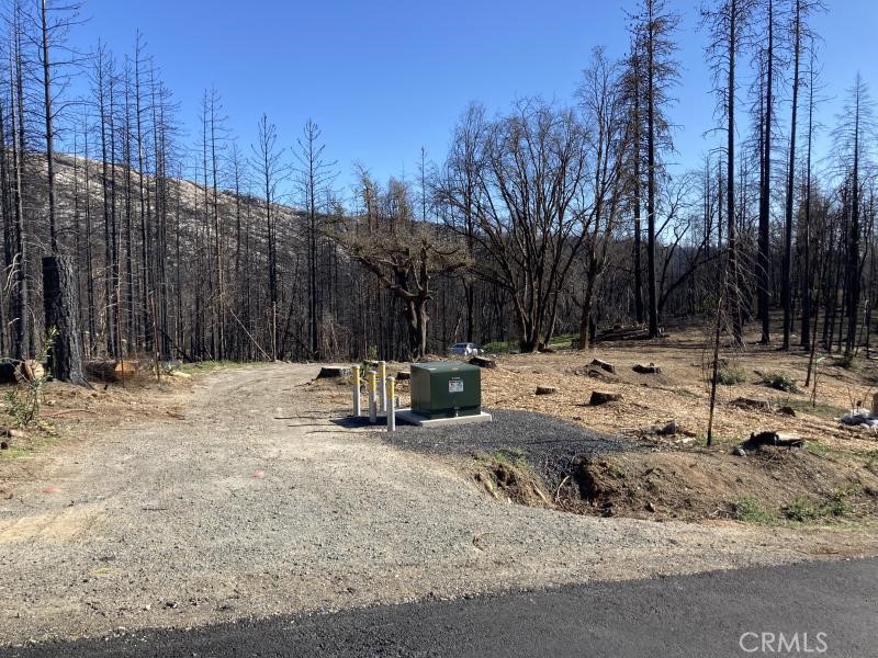 560 Zink Road, Berry Creek, CA 95916