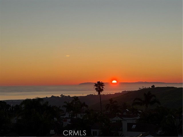 Front Image Thumbnail for CROC26064630