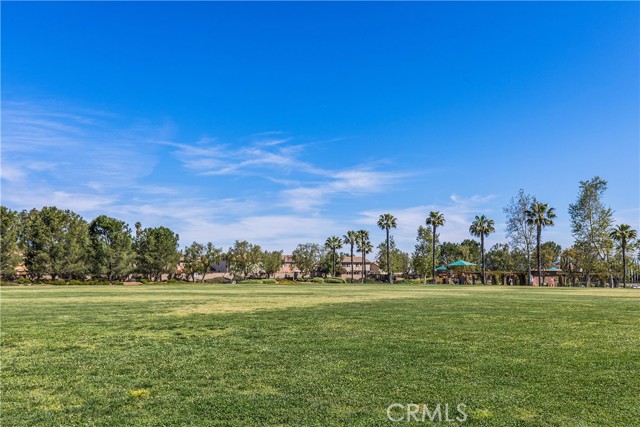 Detail Gallery Image 36 of 40 For 12390 Jacaranda, Riverside,  CA 92503 - 4 Beds | 3 Baths