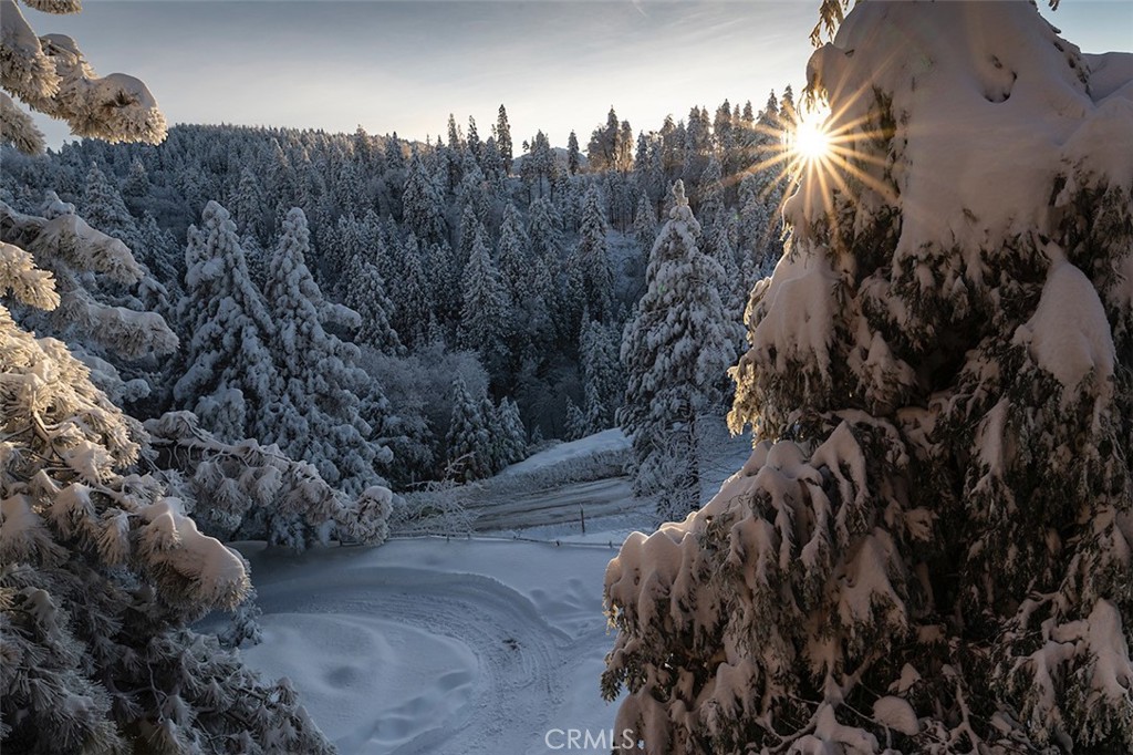 https://media.crmls.org/medias/f499e10b-4ad2-4cd1-8778-76d77d4a8690.jpg?preset=X-Large