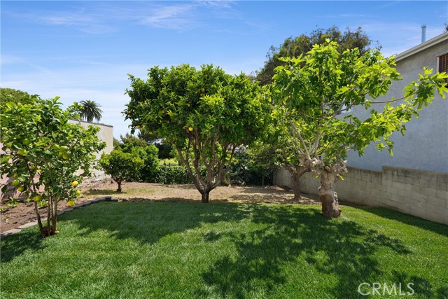 Detail Gallery Image 17 of 23 For 2418 S Carolina, San Pedro,  CA 90731 - 3 Beds | 1/1 Baths