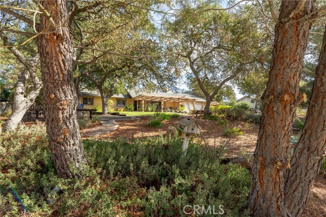 Detail Gallery Image 3 of 58 For 5679 Loma Verde Drive, Paso Robles,  CA 93446 - 3 Beds | 2 Baths