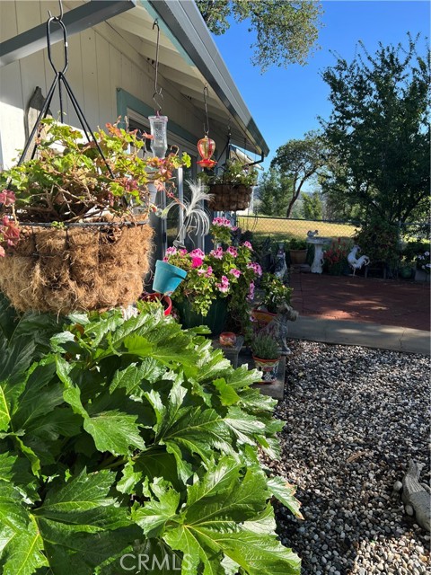 Detail Gallery Image 9 of 39 For 10180 Highway 29, Lower Lake,  CA 95457 - 3 Beds | 2 Baths