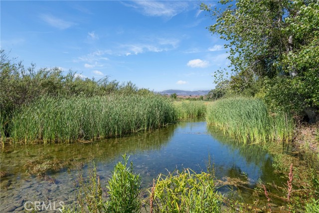 River view