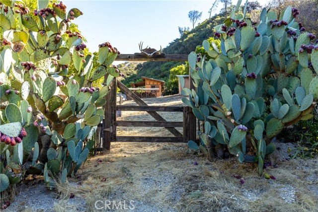 Detail Gallery Image 33 of 38 For 61411 Lockwood San Lucas Road, Lockwood,  CA 93932 - 2 Beds | 1 Baths