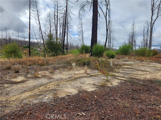 Detail Gallery Image 6 of 7 For 1103 Bald Rock Rd, Berry Creek,  CA 95916 - – Beds | – Baths