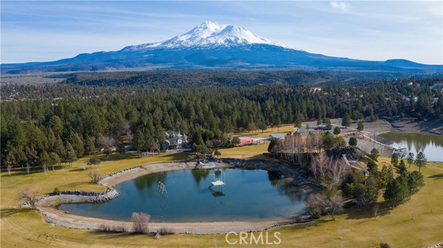 15733 Juniper Peak Road, Weed, California 96094, 5 Bedrooms Bedrooms, ,5 BathroomsBathrooms,Single Family Residence,For Sale,Juniper Peak,NP20015816