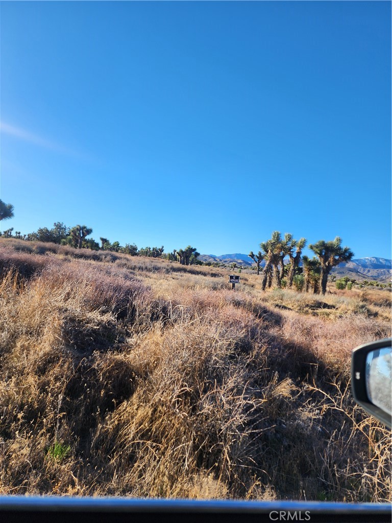 MLS #CV25255822 image #32