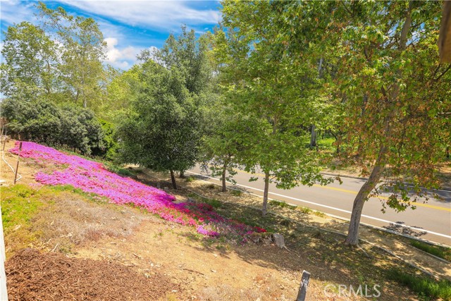 Detail Gallery Image 37 of 39 For 16031 Branle Ct, Chino Hills,  CA 91709 - 4 Beds | 3 Baths