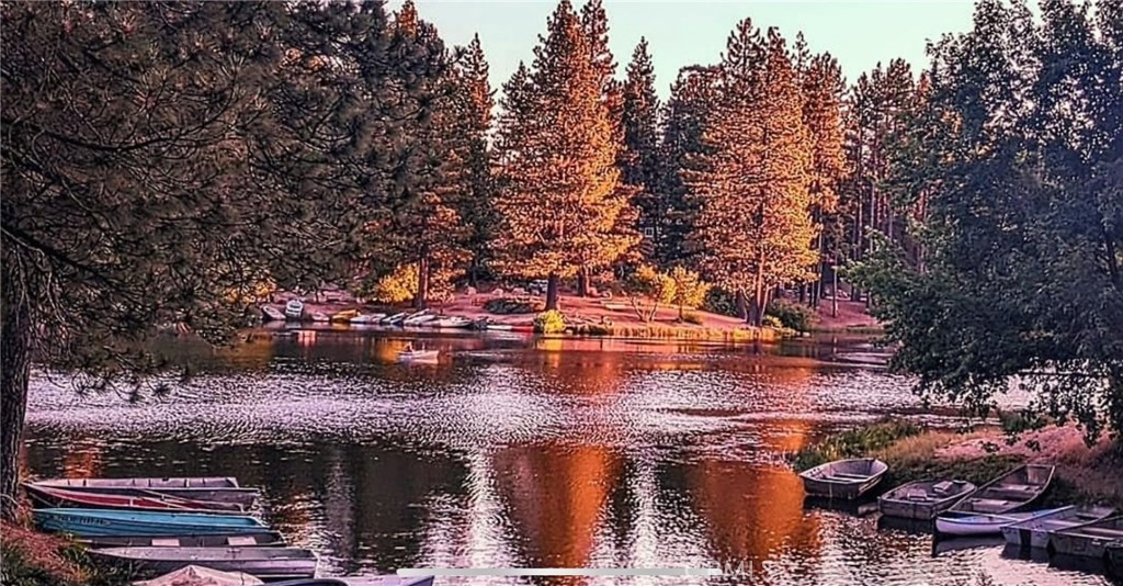 https://media.crmls.org/medias/f4af6180-b0f2-4a4f-b505-1d14a7e6a022.jpg?preset=X-Large