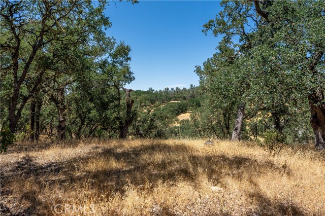 Detail Gallery Image 18 of 21 For 7540 Highway 29, Kelseyville,  CA 95451 - – Beds | – Baths