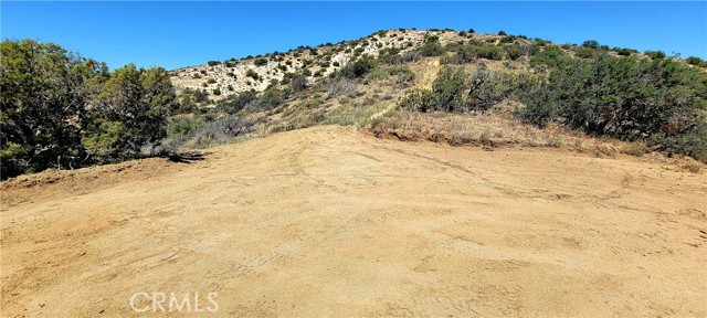 0 Vac/Vic Oracle Hills/Dusty Trail, Acton, California 91350, ,Land,For Sale,0 Vac/Vic Oracle Hills/Dusty Trail,CRSR24027628