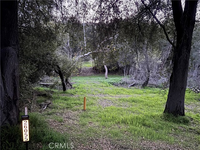 Front Image Thumbnail for CRTR26020411