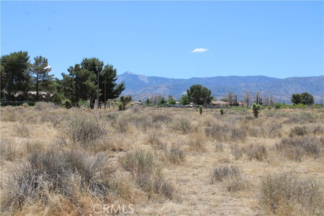 Detail Gallery Image 8 of 17 For 4 Ac Monte Vista Rd, Phelan,  CA 92371 - – Beds | – Baths