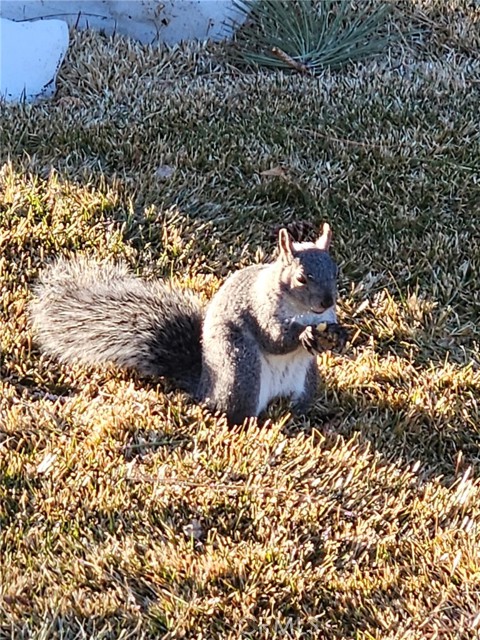 Detail Gallery Image 38 of 50 For 41922 Centre Ct, Big Bear Lake,  CA 92315 - 3 Beds | 3/1 Baths
