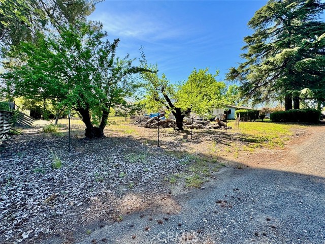 Detail Gallery Image 6 of 28 For 3481 Bell, Chico,  CA 95973 - 3 Beds | 1/1 Baths