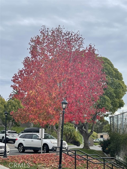 Image 24 of 29 For 506 Canyon Dr #22