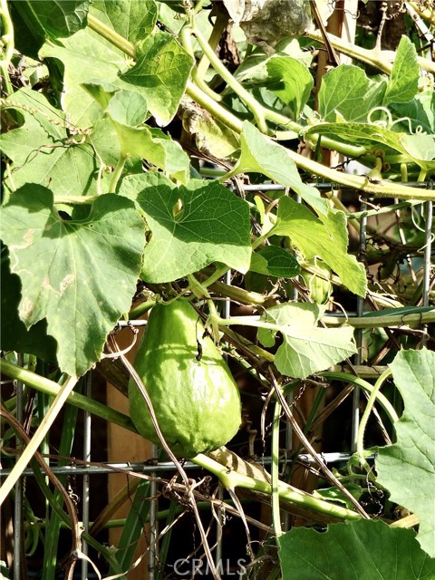 Detail Gallery Image 50 of 53 For 1560 Homewood Rd #114-L,  Seal Beach,  CA 90740 - 2 Beds | 2 Baths