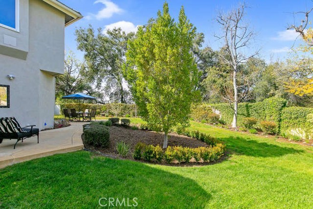 31739 Blue Meadow Lane photo 8