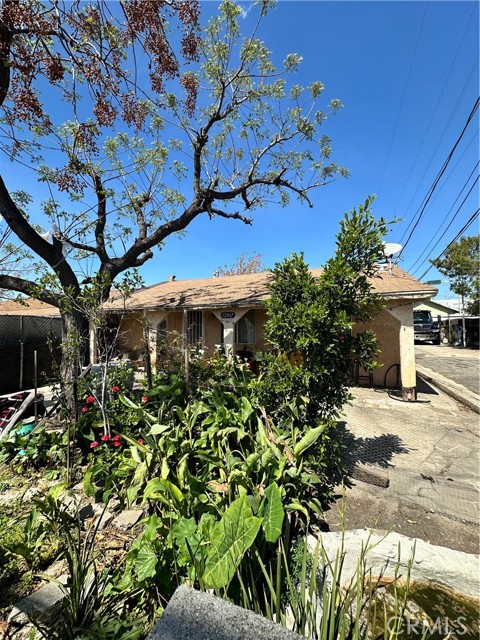 12861 Kagel Canyon Street photo 4