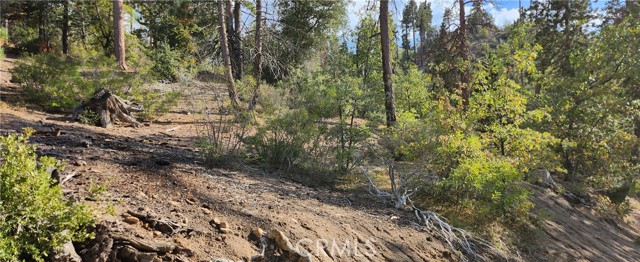 Detail Gallery Image 13 of 15 For 0 Trails End Rd, Green Valley Lake,  CA 92341 - – Beds | – Baths