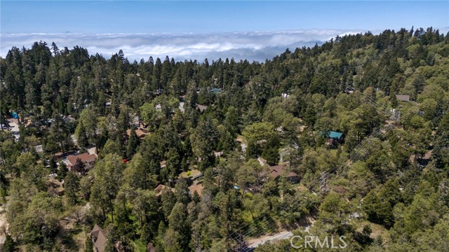 Detail Gallery Image 47 of 53 For 25835 North Rd, Twin Peaks,  CA 92391 - 3 Beds | 2 Baths