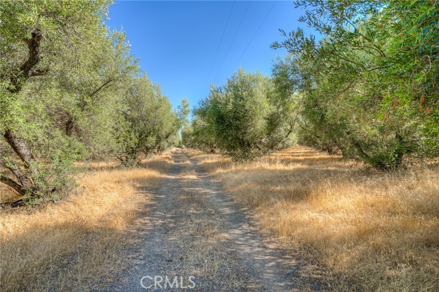 16 Rocky Drive, Oroville CA: https://media.crmls.org/medias/f4d61b68-5ef6-47b4-9457-b59829503f44.jpg