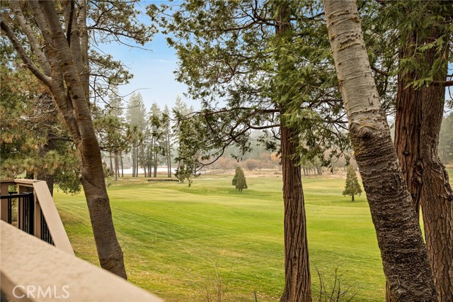 Front Image Thumbnail for CRIG25280156