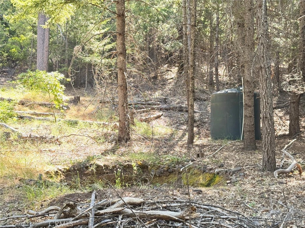 https://media.crmls.org/medias/f4d947a6-d255-4090-8bf7-05124b1657ea.jpg?preset=X-Large