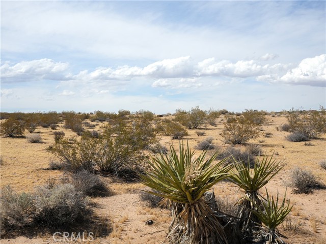 Image 8 of 21 For 0 Belmont Street