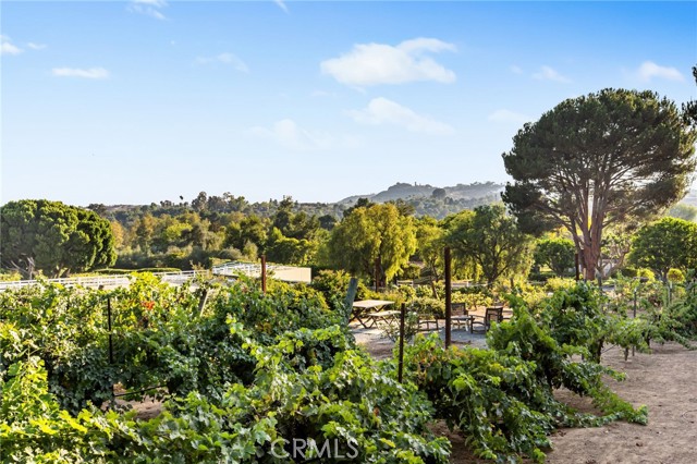 4 Golden Meadow Lane, Fallbrook CA: https://media.crmls.org/medias/f4e35d54-496d-428f-830e-2e18302425da.jpg