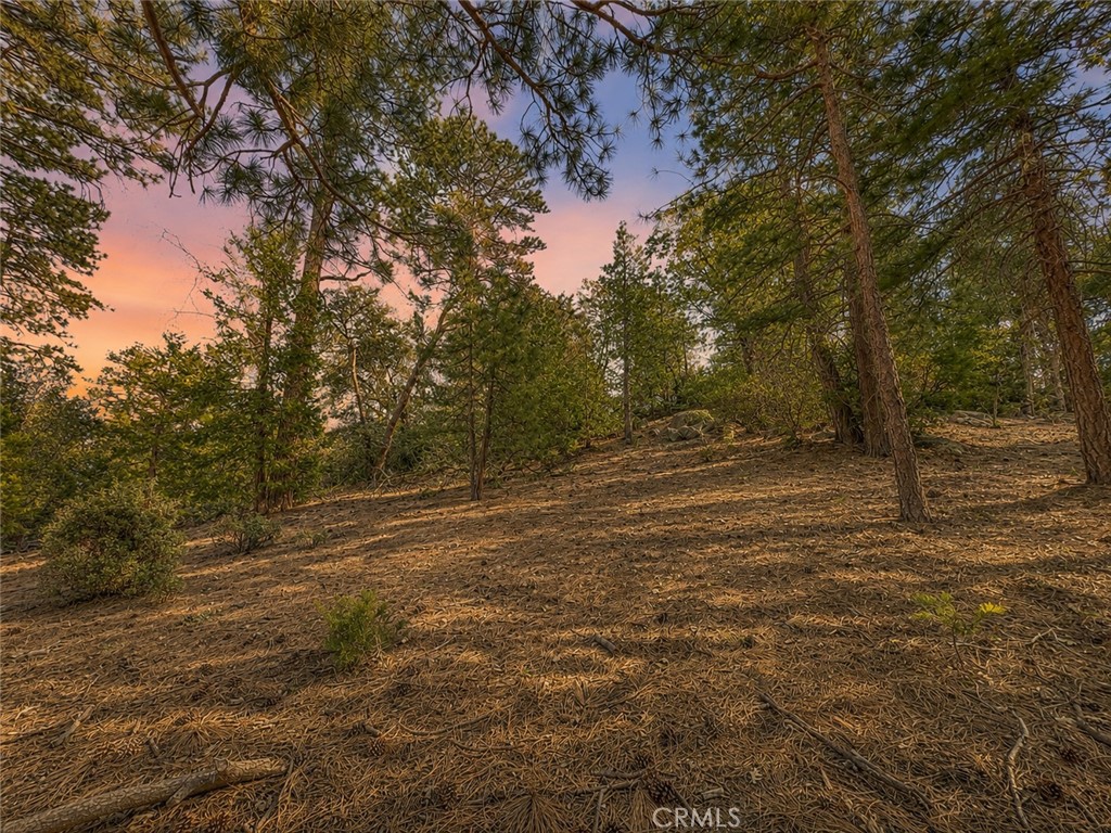https://media.crmls.org/medias/f4e38674-8db5-429d-8c51-5bda62dcff87.jpg?preset=X-Large