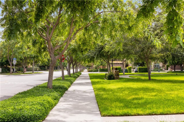 Detail Gallery Image 38 of 52 For 81 Savannah, Lake Forest,  CA 92630 - 3 Beds | 2/1 Baths