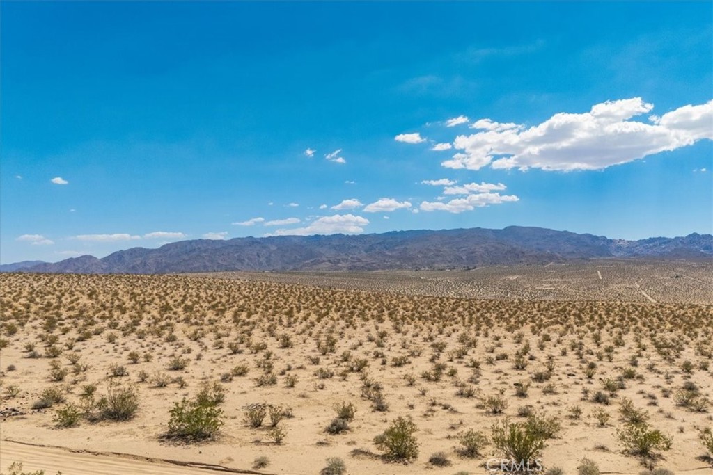 MLS #JT25263725 image #1